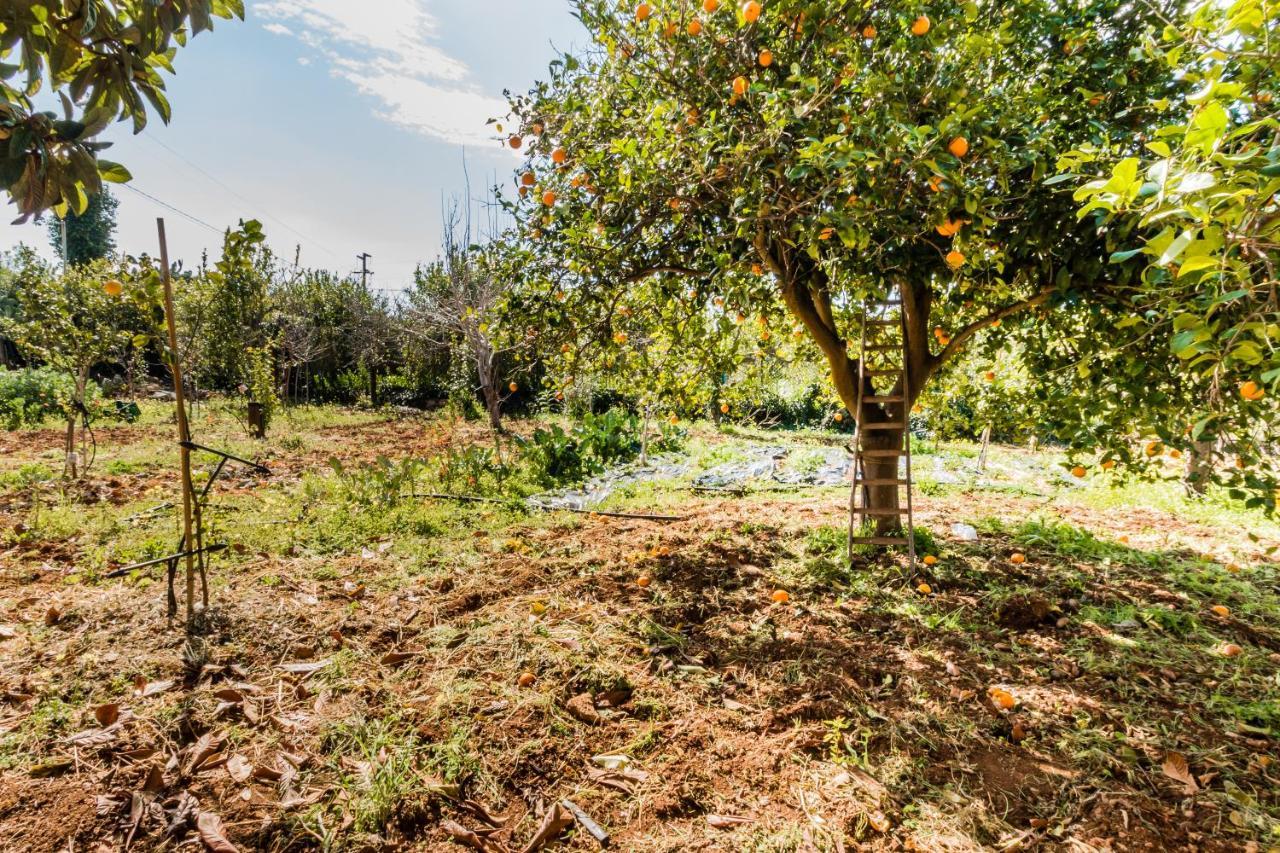 Villa Rosa Near The Sandy Beach, Parking & Wifi Noto Buitenkant foto